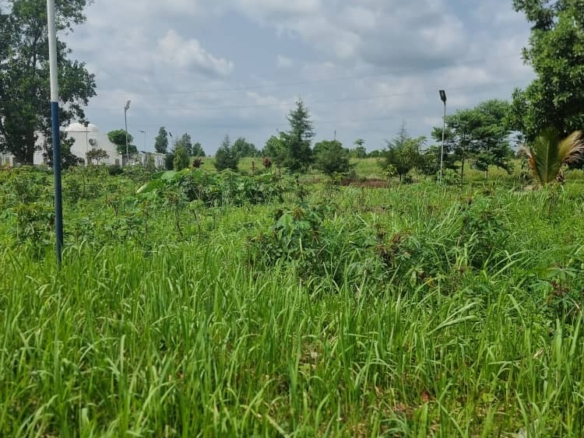 Des hectares misent en vente à maluku village kitshini 32 hectares