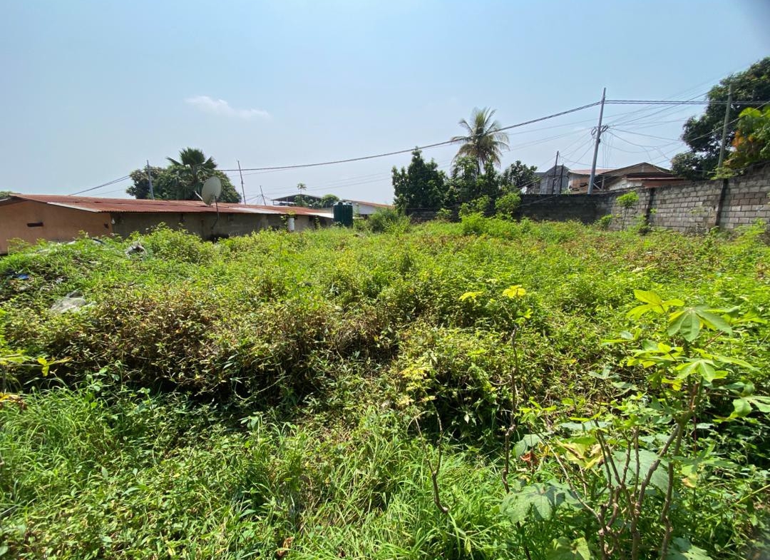 Terrain