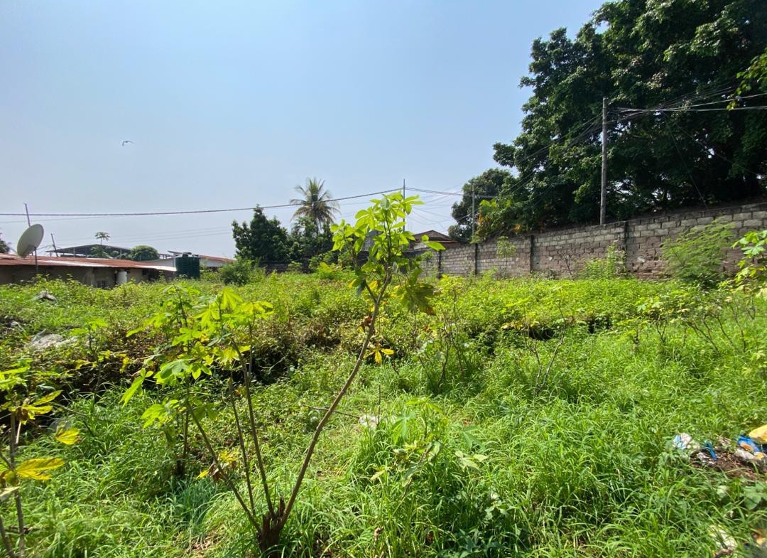 Terrain