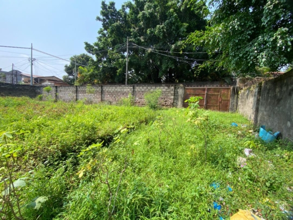 Parcelle en vente à Ngaliema binza UPN 8 Parcelle