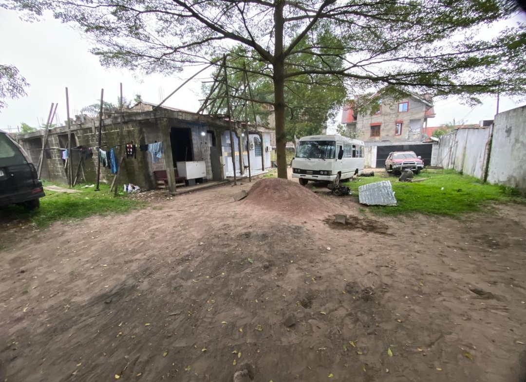 terrains