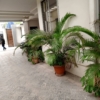 Appartement de 2 chambres en location a GB 22 Appartement