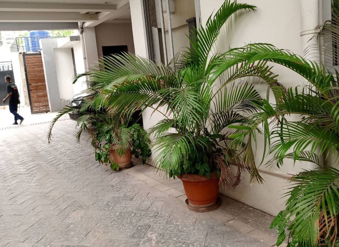 Appartement