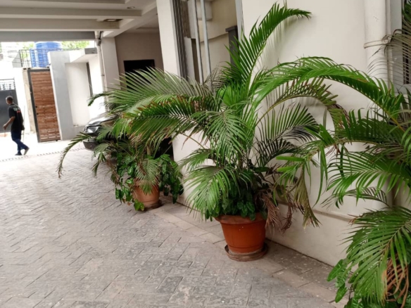 Appartement de 2 chambres en location a GB 28 Appartement