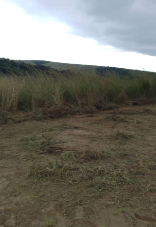 Concession agricole