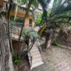 Villa de 20m/25m mise en vente à Ngaliema 22 PARCELLE À VENDRE