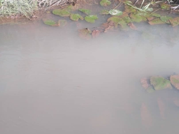 Concession agricole a vendre à kasangulu avant péage 6 scaled 1003221143