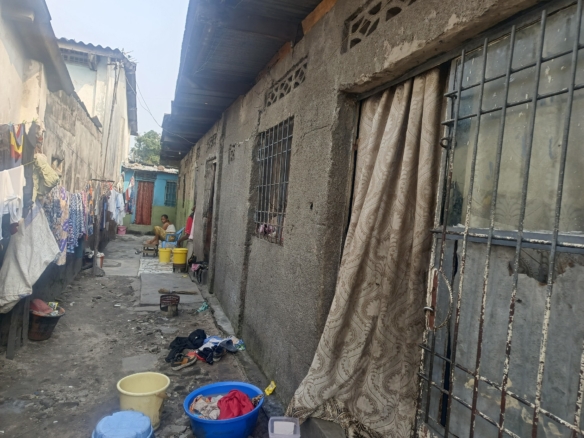 Parcelle avec plusieurs maisons de locataires à Barumbu itaga kingoma 26 Parcelle
