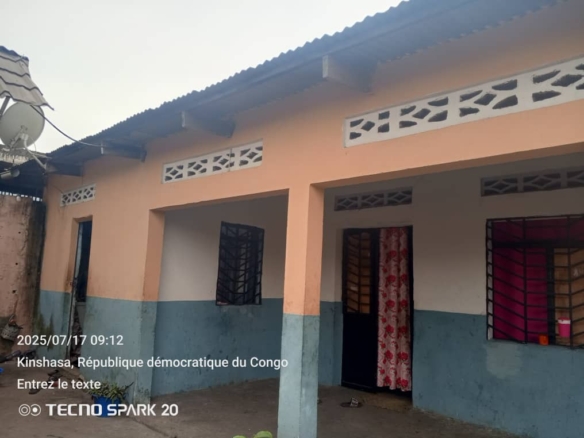Parcelle à vendre avec trois portes de locataires à Bibwa N'sele 14 scaled 1004793673