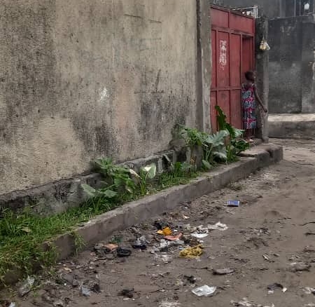 Parcelle en vente avec 4 portes de locataires à N'djili Q13 26 Parcelle
