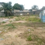 scaled 1750771386681