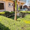 Maison à loué Dans La ville de Lubumbashi quartier golf Météo2 23 Maison