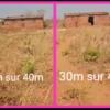Terrain à vendre a Lubumbashi 23 Terrain