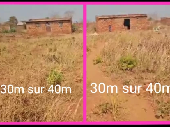 Terrain à vendre a Lubumbashi 6 Terrain
