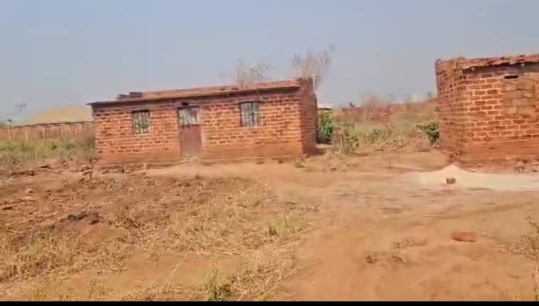 Terrain