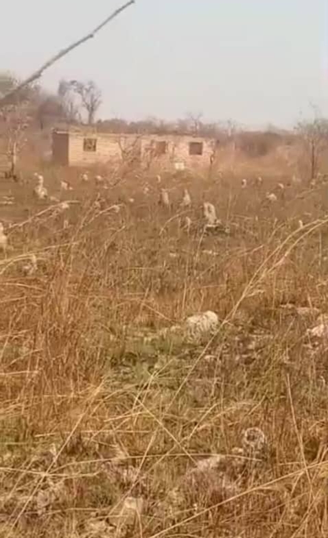 85042 Terrain à vendre a Lubumbashi