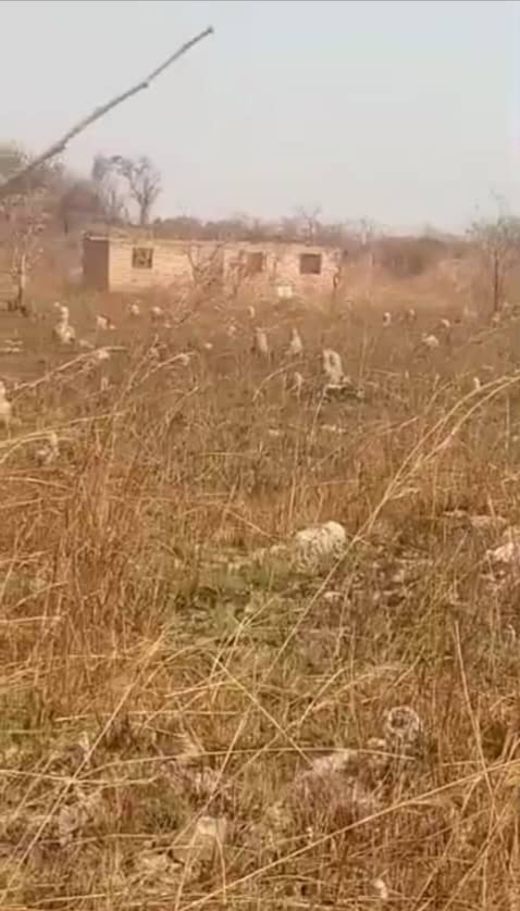85042 Terrain à vendre a Lubumbashi