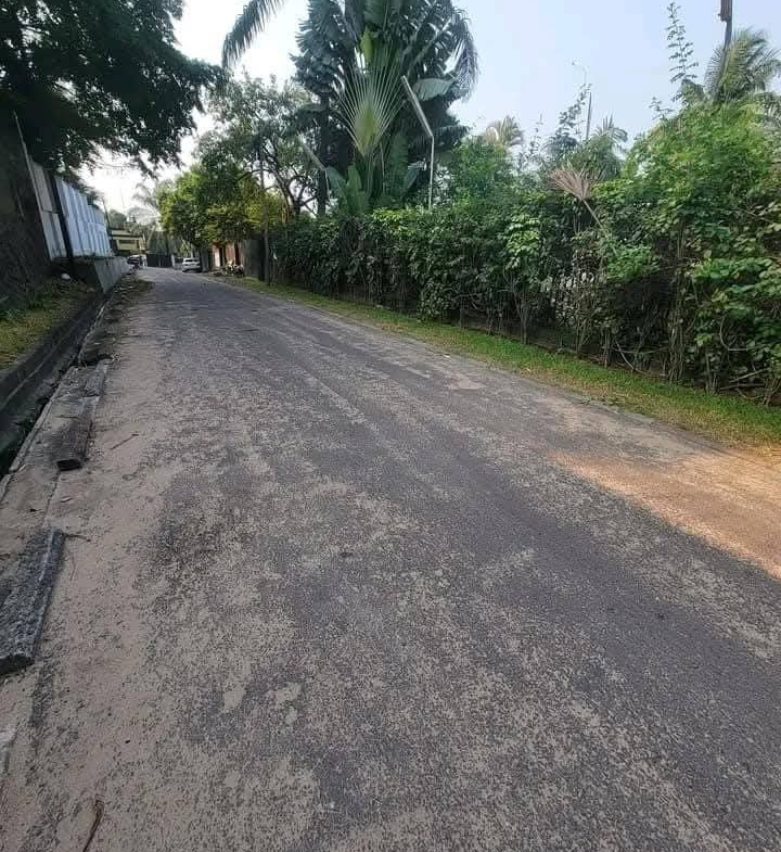 scaled_1000523548