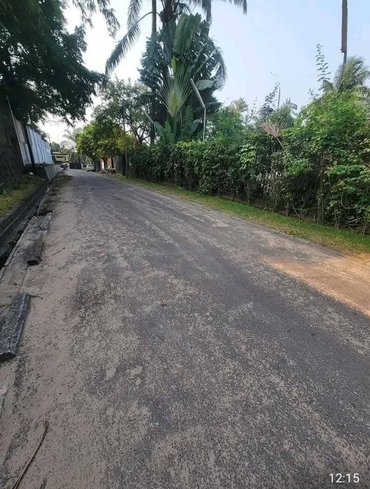 scaled_1000523548