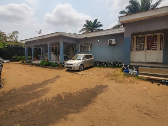 parcelle de 25m/28m mise en location à kitambo Jamaïque/ témoin de Jéhovah 24 parcelle
