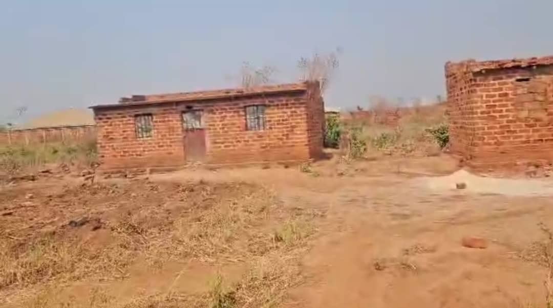 terrain