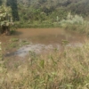 fermé a vendre a kasangulu avant péage 23 scaled 1004288392