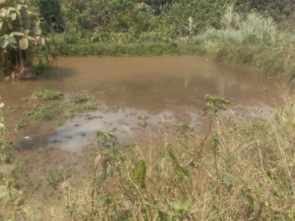 ferme a vendre a kasangulu avant péage 4 scaled 1004288392
