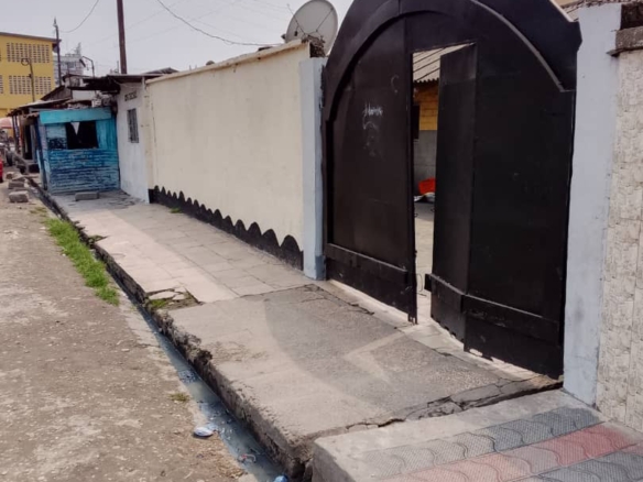 Parcelle à vendre à Kalamu – Matonge près du macadam (162,5 m²) 4 parcelle