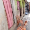 Parcelle avec 4 Portes Locatives à Vendre – Ngiri-Ngiri 23 Parcelle