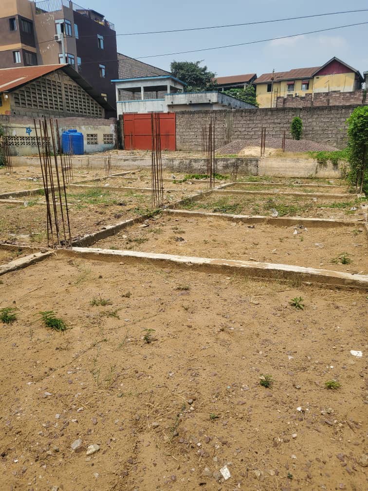 Terrain