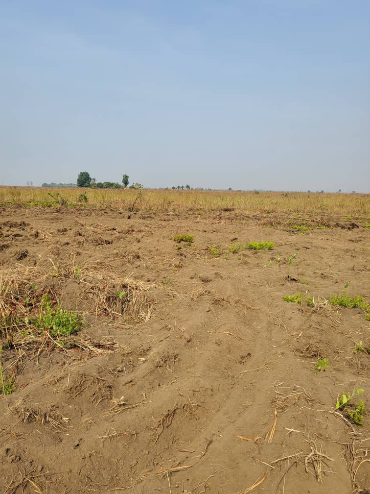 terrains