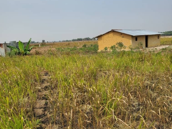 Des terrains vide cadastré mise en vente dans la commune de Maluku 17 terrains