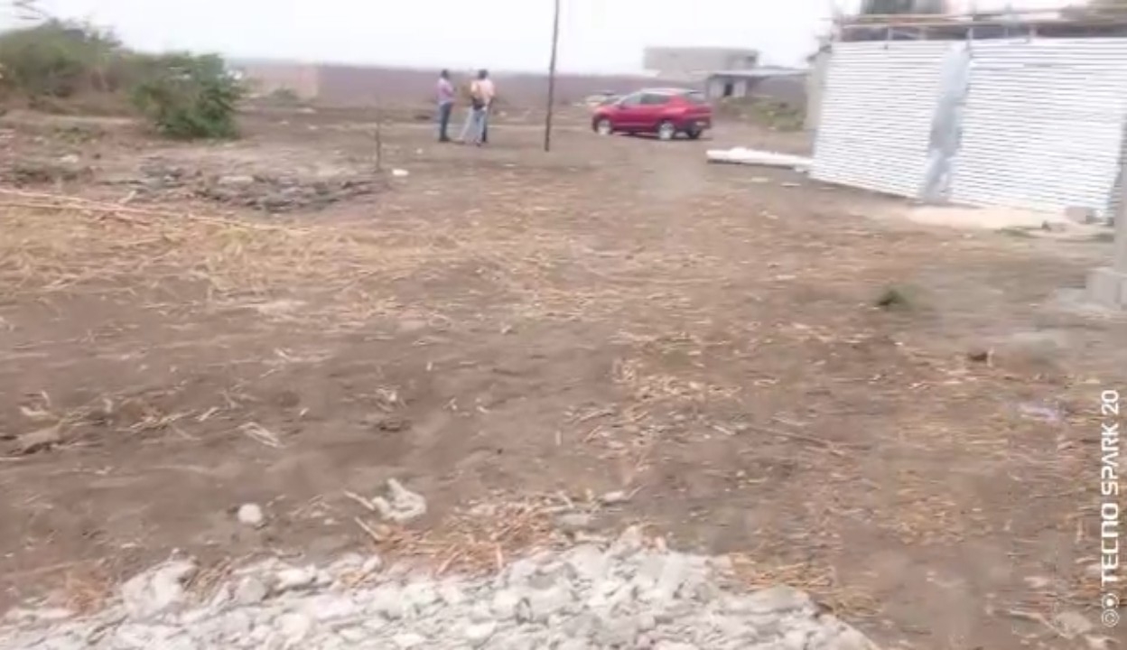 terrain