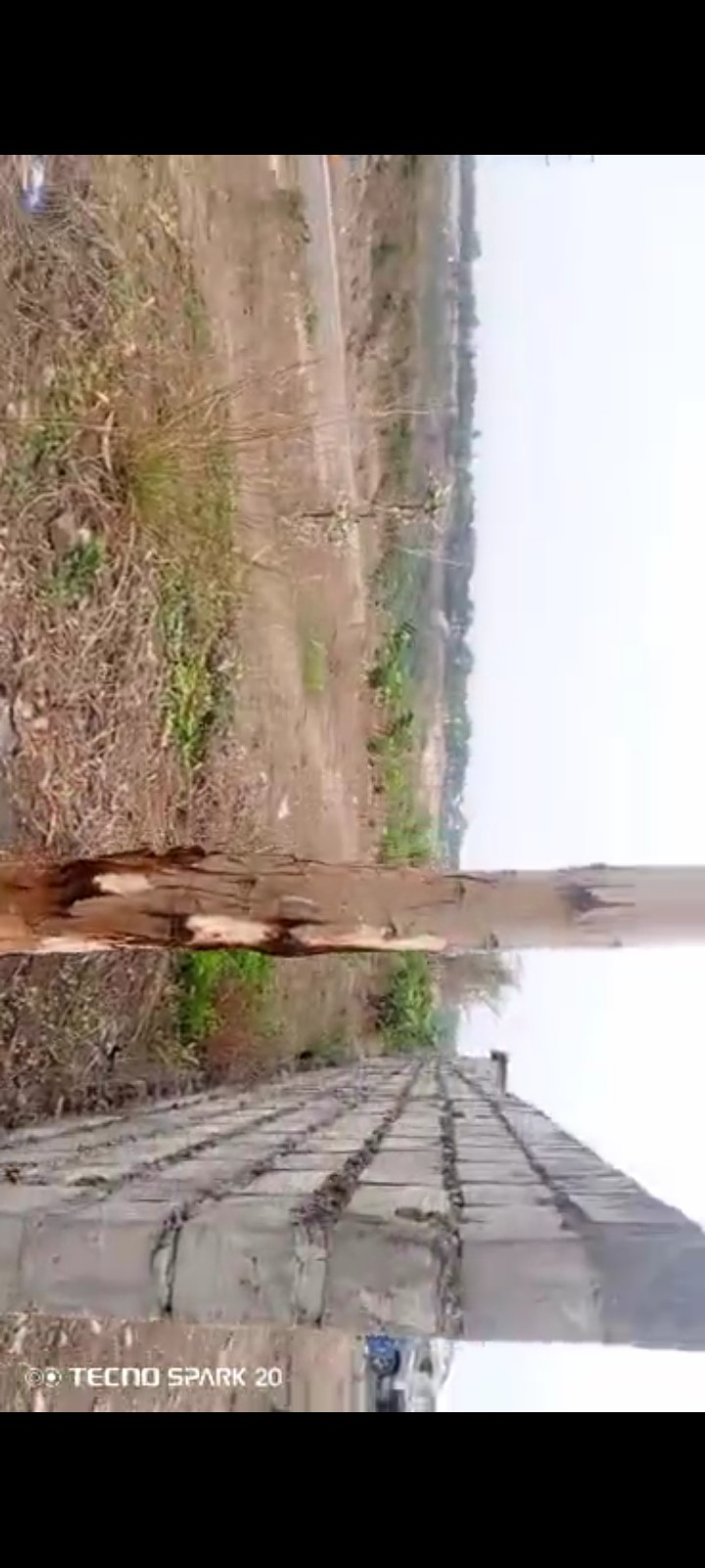 terrain