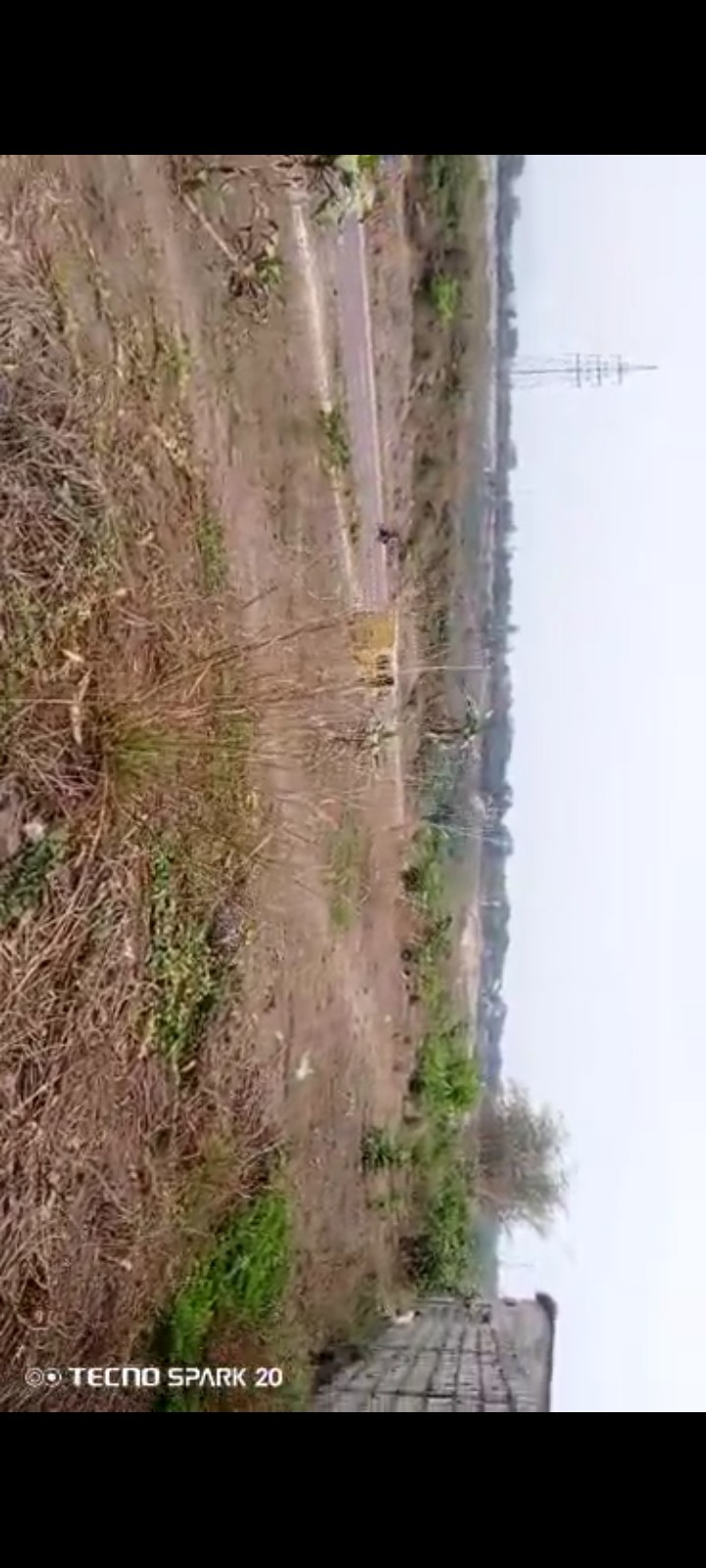 terrain