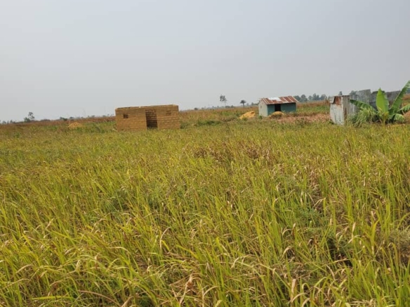 Des terrains cadastrée mise en vente à Maluku, mekawu 20 terrains