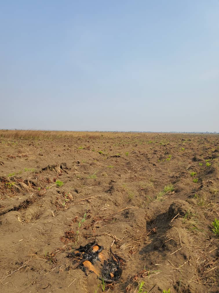 terrains