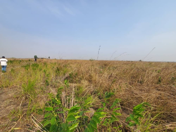 des hectares mise en vente à Maluku/ mekawu 4 hectares