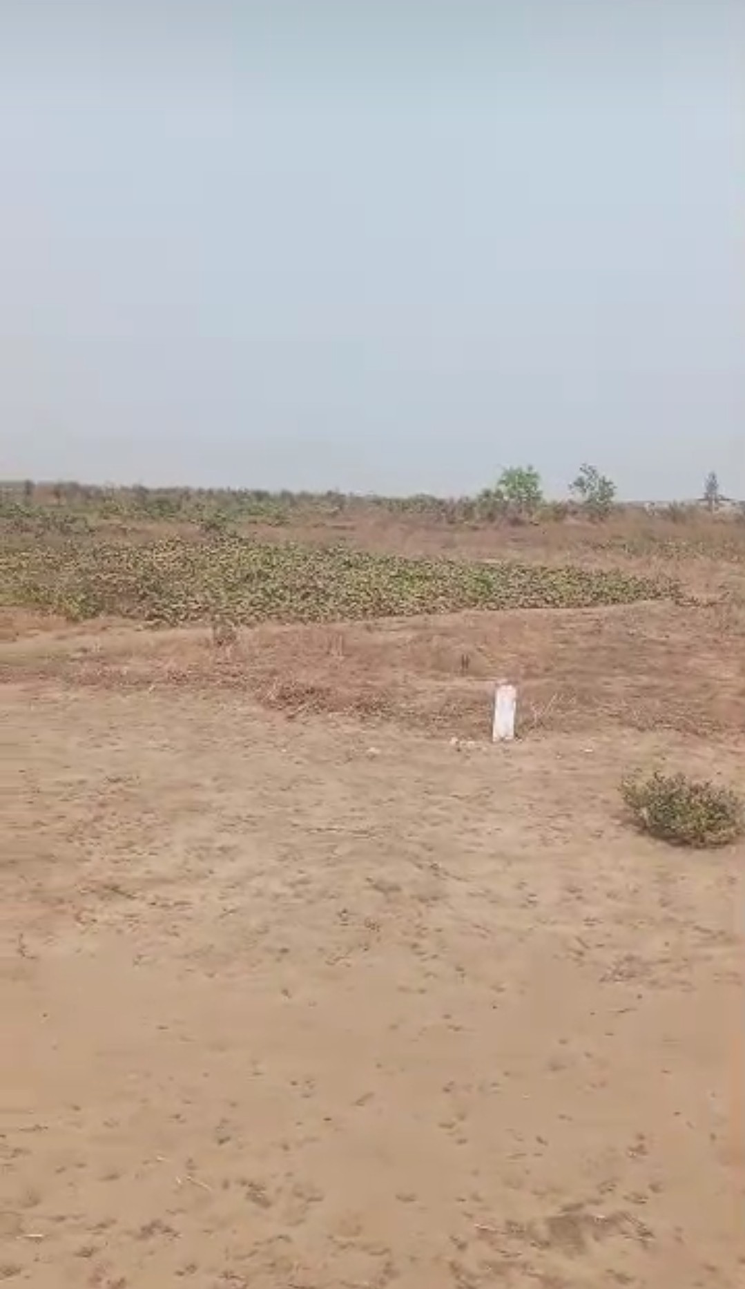 terrains