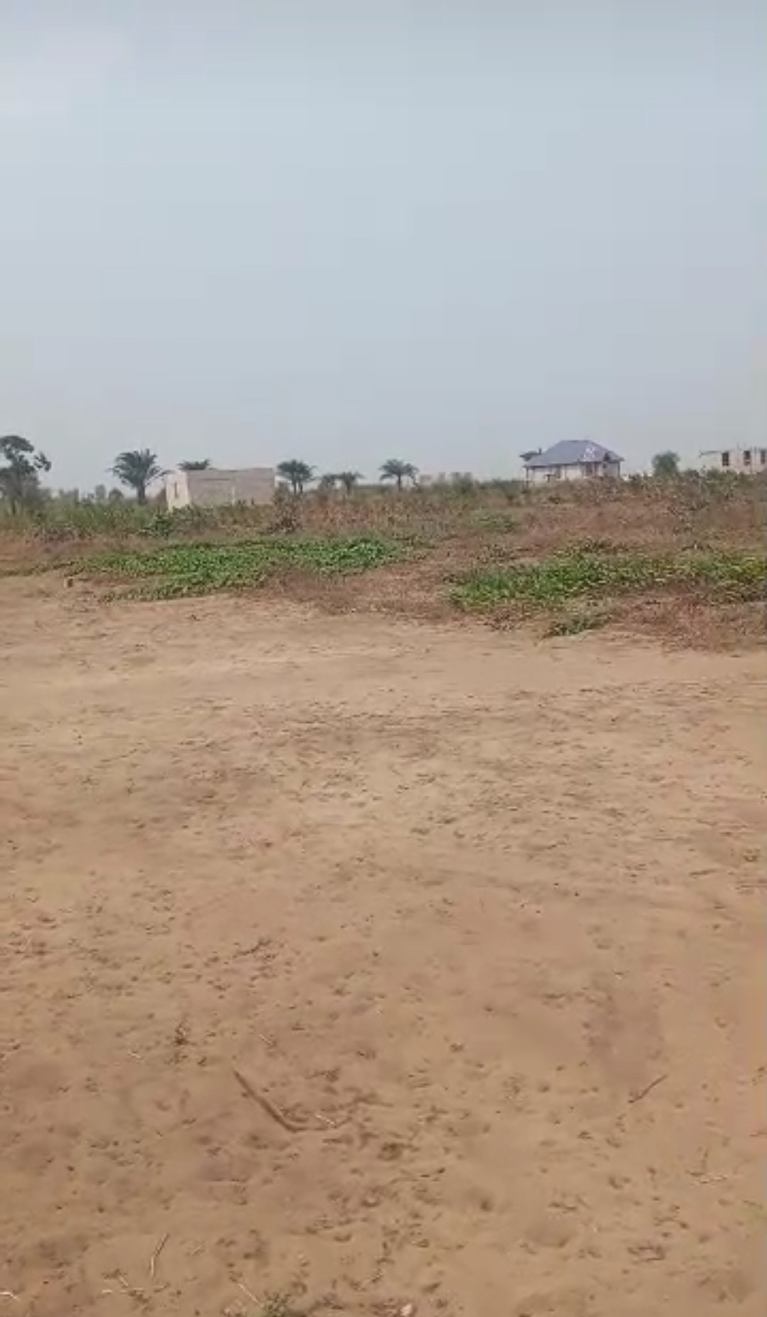 terrains