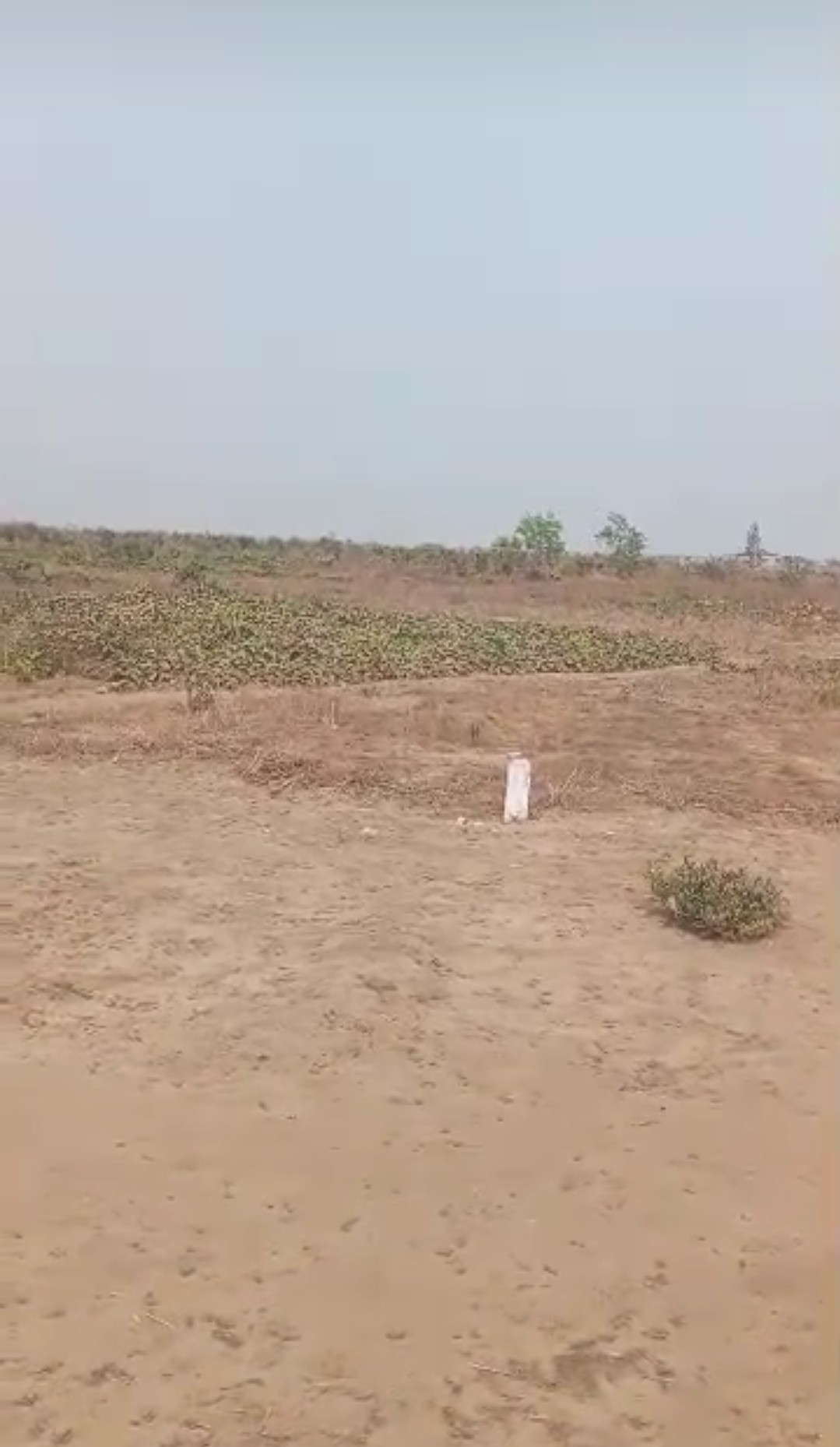 terrains