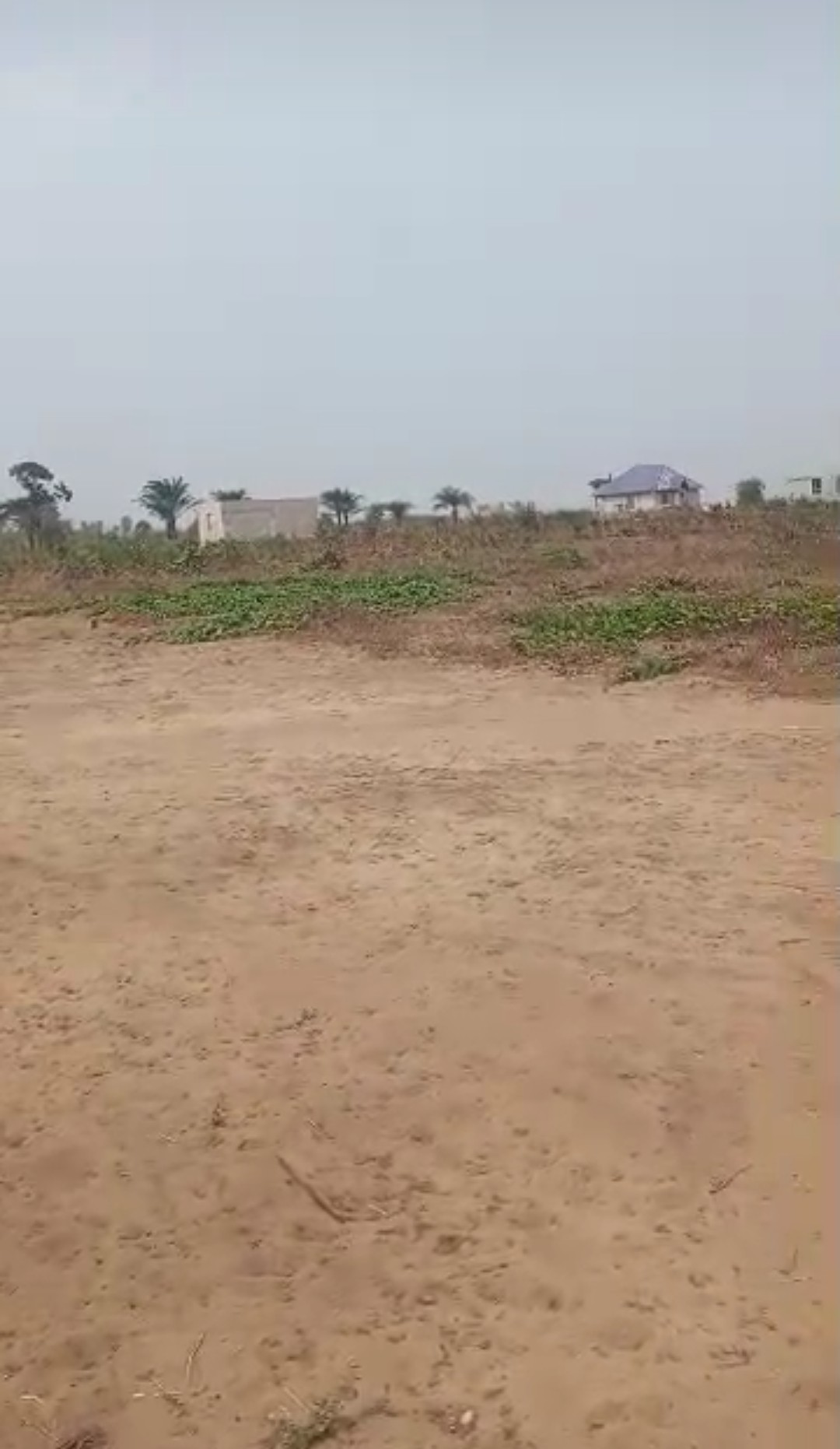 terrains
