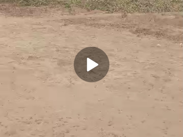 Des terrains vide cadastrée 20m/20m en vente à N'sele Kinkole Mausolée 15 terrains