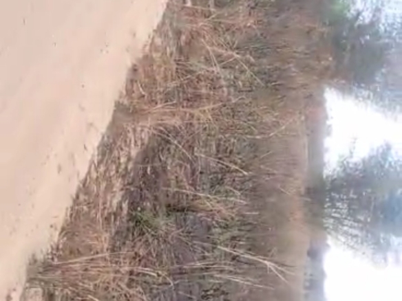 120 hectares cadastrée mise en vente à Maluku mekawu, Kingakati 14 hectares