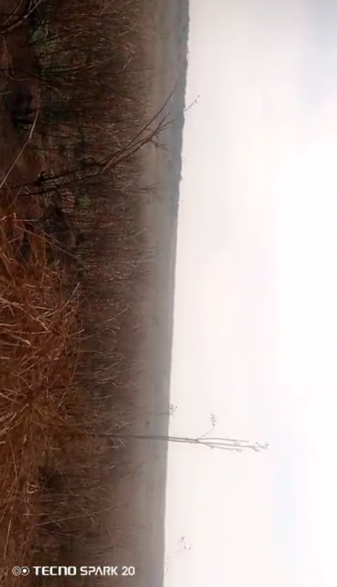 hectares