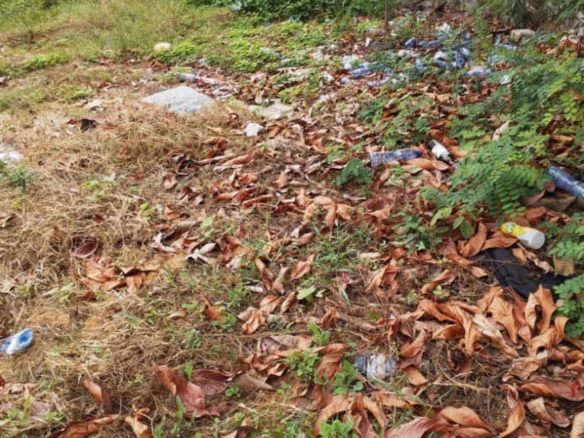 plusieurs terrains vide en morcellement mise en vente à ngaliema macampagne 18 scaled 1001589388