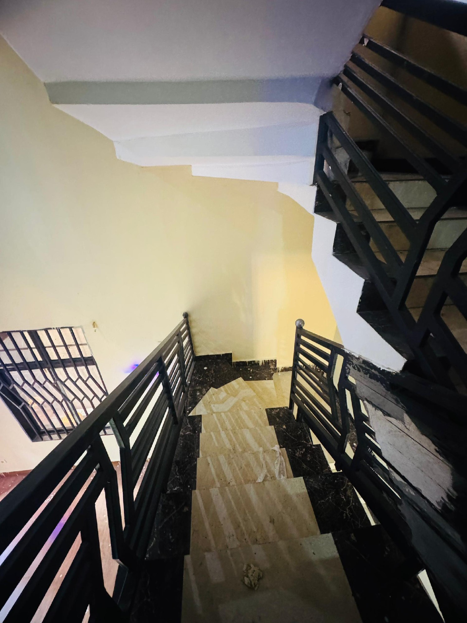 scaled_1001690794