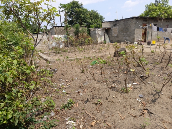 Vente terrain avec fondation – N’sele Camp PM 14 scaled 1005676425