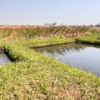 TERRAIN A VENDRE AVEC PISCULTURE VILLE DE LUBUMBASHI 22 scaled IMG 20251003 WA01341