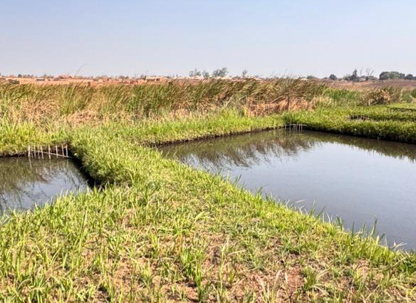 TERRAIN A VENDRE AVEC PISCULTURE VILLE DE LUBUMBASHI 16 scaled IMG 20251003 WA01341